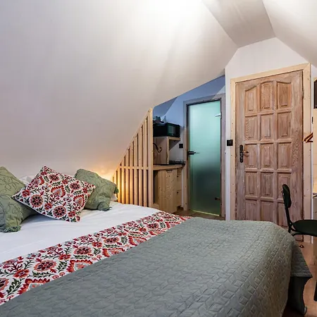 民宿 Nasza - I 扎科帕内