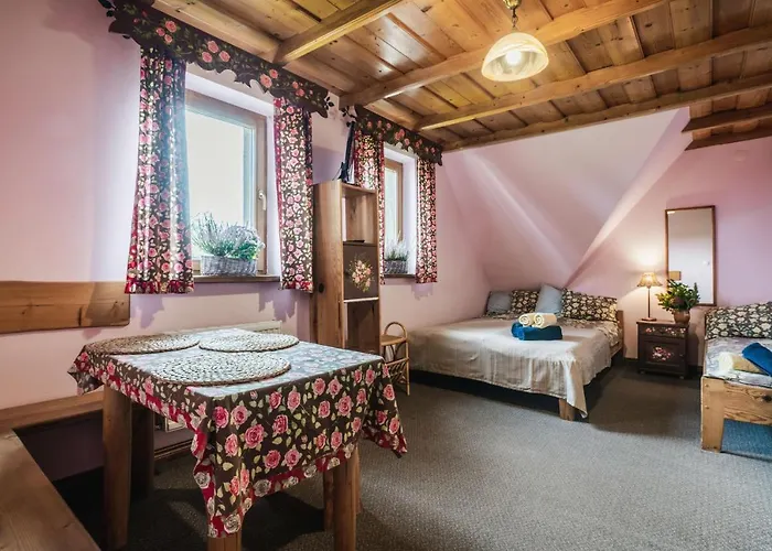 Nasza - I 扎科帕内