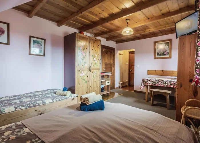 民宿 Nasza - I 扎科帕内