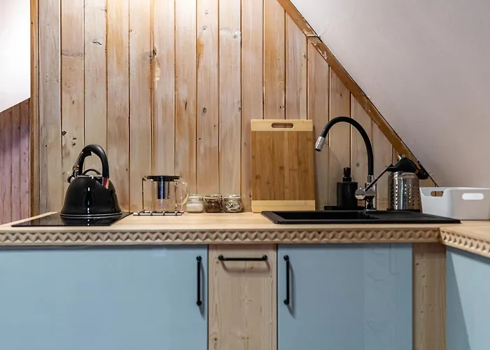 Nasza - I 民宿 扎科帕内