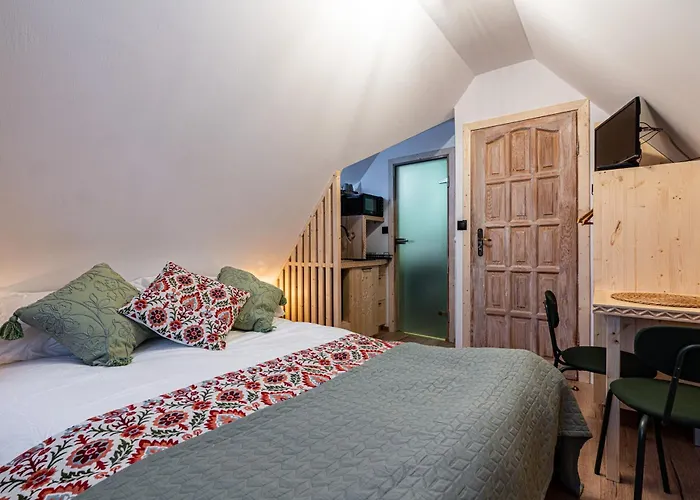 民宿 Nasza - I 扎科帕内